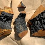 Chaga, Inonotus obliquus