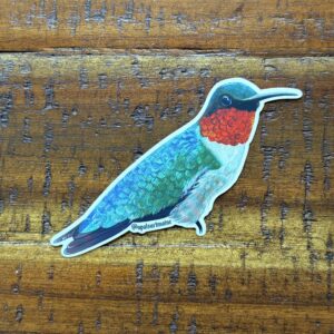 Hummingbird sticker