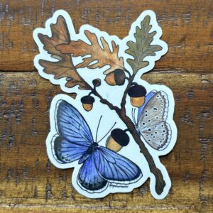 Common blue butterfly sticker